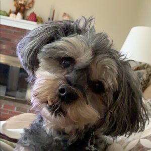 Meet your Posher, Ali